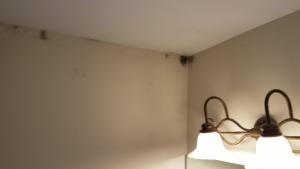 Wrong - Cold spots along the top plate combined with lack of ventilation have encouraged mold growth along this bathroom ceiling.