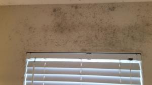 Wrong - Lack of insulation in the wall above this window combined with poor bathroom ventilation has contributed to mold growth.
