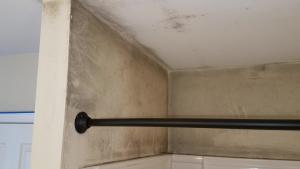 Wrong - Poor ventilation has encouraged the build up of mold in this shower.