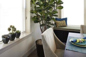 The double-wall construction results in thick window sills which builder market as an architectural feature.