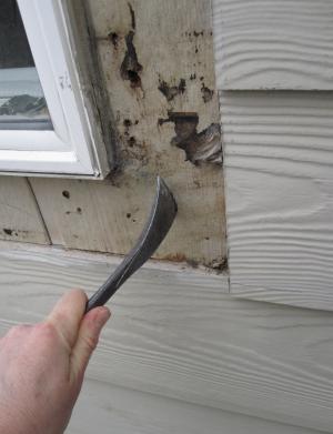 New siding was installed over old siding, but no flashing or trim was installed and the old siding became saturated when water leaked around the windows.