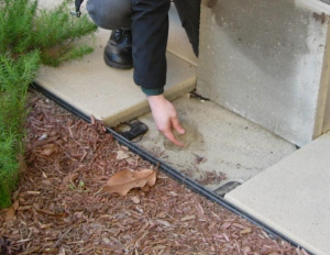 Concrete pavers set in 4 inches of sand provide a pest-resistant ground break at the building perimeter.