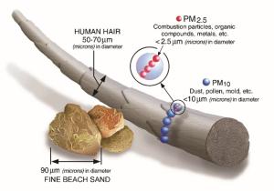 Particulate matter (PM) is often reported in size bins based on the particle diameter in micrometers.