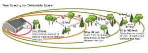 Recommended tree spacing for wildfire resistance within the three defensible space zones (Source: Preparing Homes for Wildfire