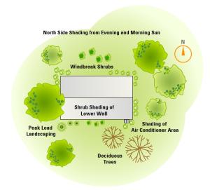 Careful landscaping can preserve roof-top solar exposure and provide shading to help control solar gain through windows.