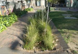 Right – This swale has sloped sides with appropriate vegetation to filter rainwater. 