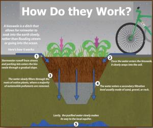 Swales are troughs that collect site stormwater and filter it with vegetation, soil, and gravel layers. 