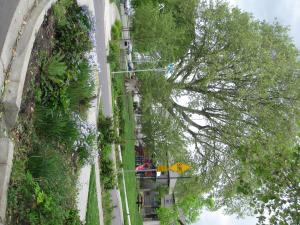 Vegetated swales, pervious pavers, pocket parks, and retention of existing trees all help to minimize runoff and lessen impacts on municipal sewer systems.