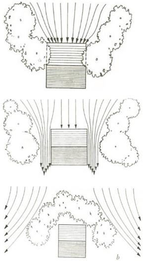 Trees and hedges can be used to funnel or deflect prominent winds