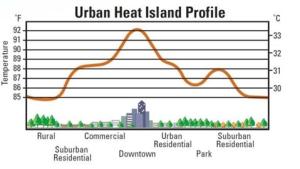 A dense concentration of buildings and pavement can create the Urban Heat Island Effect, where local temperatures can be several degrees higher than the surrounding areas