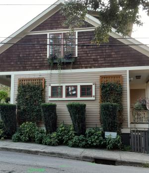 Vertical trellises and tall shrubs provide very effective shading to the east-facing wall of this home.