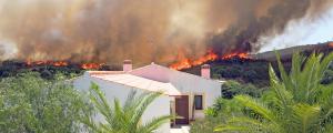 Wildfires across the United States claimed 10.12 million acres and 17,904 structures, including 9,700 homes in 2020 