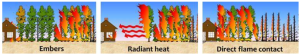 Windblown embers and firebrands are the most common cause of structural fires in wildfires, followed by fires started by radiant heat igniting surfaces or breaking windows and allowing embers in, followed by direct flame contact 