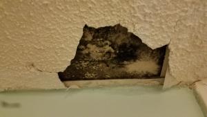 Wrong - Stucco has rotted and cracked above a window because of water damage due to lack of proper flashing and drainage.