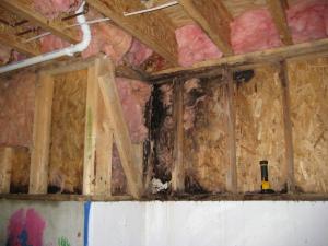 Wall damage caused by leak due to improper flashing