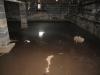 Wrong – This vented crawlspace has standing water because steps were not taken to address site conditions that led to bulk water flow into the crawlspace.