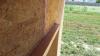 Right - The seams in the OSB sheathing are sealed with a sprayer-applied sealant.