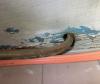 The gaps in the subfloor around this copper piping should be sealed with caulk or canned spray foam.