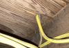 Electrical wires for outlets often penetrate the subfloor where there is a wall directly above.