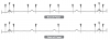 This fastener schedule for metal panel siding shows denser spacing for the end panels to resist stronger wind pressures. Some manufacturers specify that panels be installed with the prevailing wind - in this example wind direction is right to left. 