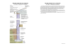 2021 IECC Climate Zone 4C: Vented Attic, ICF Wall, ICF Basement Foundation (with notes)