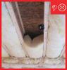 Wrong - Insulation does not fill entire cavity leading to heat losses.
