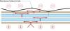 Wrong – If roof membrane is not fully adhered, it can flutter and fail due to negative pressure from wind above and positive pressure from air leakage through roof deck below