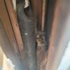 Old window weights can be removed and the cavities on each side of the window can be filled in with rigid foam, then new jamb liners and spring balance hardware can be installed.