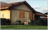 Plywood or OSB panels are a cost-effective way to protect windows from wind-borne debris. 