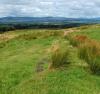 Ridges can be constructed and planted to slow the downward flow of water and stabilize slopes.