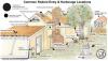 Common points of rodent entry and infestation around a home