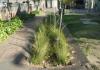 Right – This swale has sloped sides with appropriate vegetation to filter rainwater. 