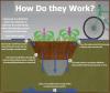 Swales are troughs that collect site stormwater and filter it with vegetation, soil, and gravel layers. 