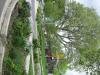 Vegetated swales, pervious pavers, pocket parks, and retention of existing trees all help to minimize runoff and lessen impacts on municipal sewer systems.