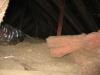 Wrong - Batt insulation does not provide complete coverage across the attic floor so ceiling joists are exposed resulting in thermal bridging.