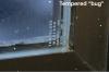 A tempered glass window can be identified by the “bug” or white etched label at one corner of the window.