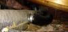 Wrong – Fiber board duct is not sealed at seams; flex duct is sealed with duct tape not mastic tape or UL-181 metal tape. 