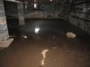 Wrong – This vented crawlspace has standing water because steps were not taken to address site conditions that led to bulk water flow into the crawlspace