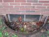 Wrong – A poorly sealed window and window well allow bulk water to enter the crawlspace from ground that slopes toward the structure