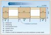 Plywood or OSB shear wall panels help the wind to resist the compression, tension, and shear forces of high winds and earthquakes