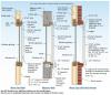 Common methods for plywood shutter attachment to wood-frame and masonry walls. 