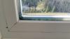 Wrong - Water has leaked into the window assembly and has not been able to drain out, possibly due to blocked weep holes; thus, mold and moss are growing in the window assembly.