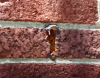 Wrong: The homeowner mistakenly filled in the weep holes in this brick wall with spray foam, preventing drainage from behind the wall